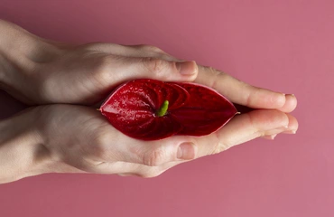 Labiaplasty Ameliyatı Türkiye